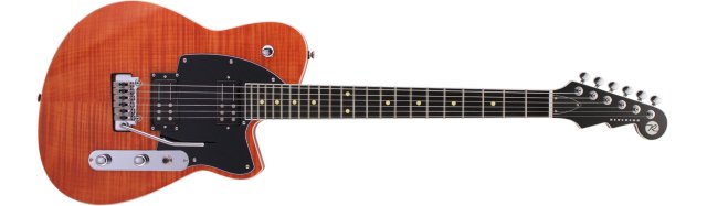 Reverend Guitars Reeves Gabrels Signature on RigShare