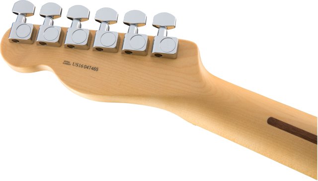 Fender American Professional Telecaster® on RigShare